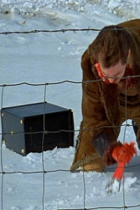 Fargo